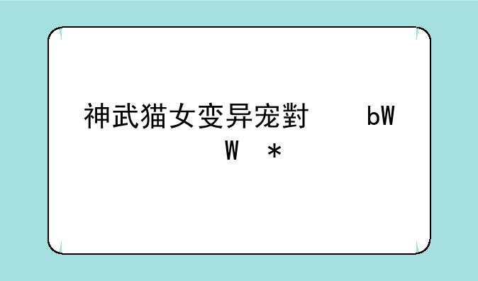 神武猫女变异宠小昕如何加点