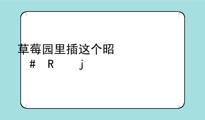 草莓园里插这个是干什么用的