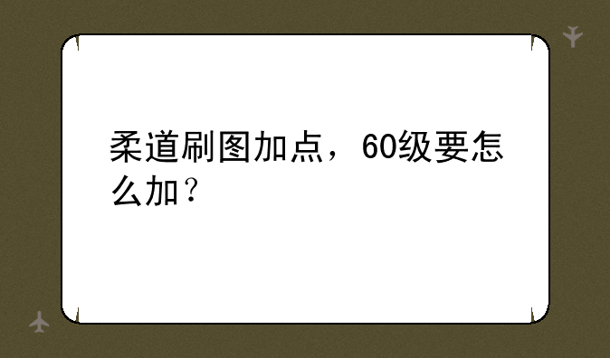 柔道刷图加点，60级要怎么加？