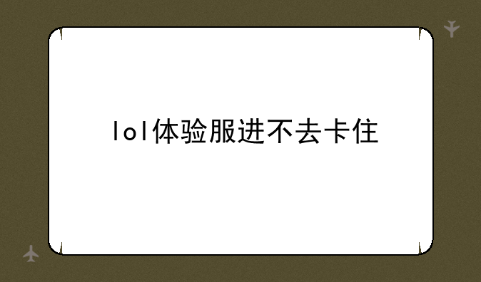lol体验服进不去卡住