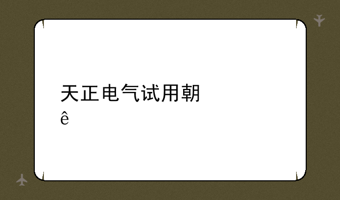 天正电气试用期过了