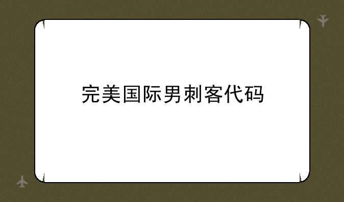 完美国际男刺客代码