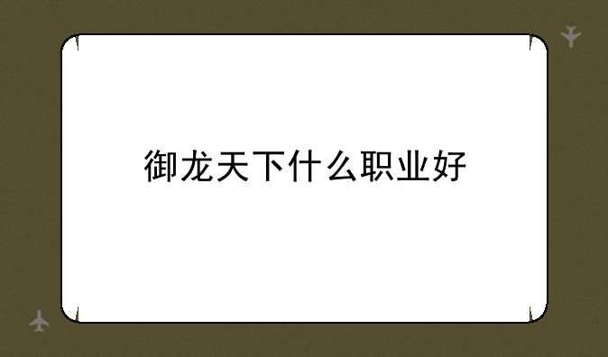 御龙天下什么职业好