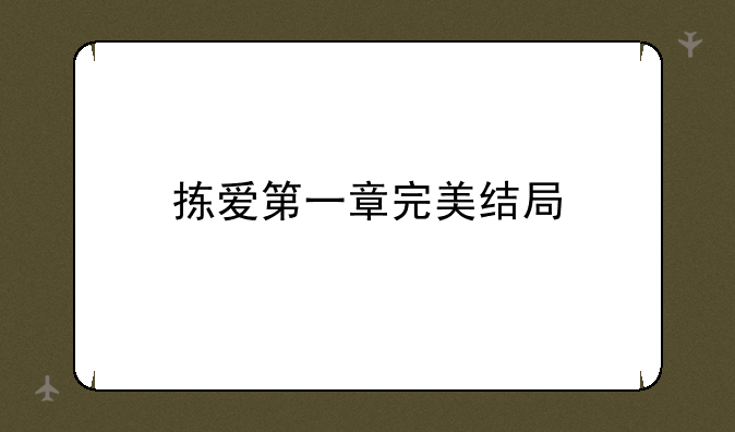 拣爱第一章完美结局