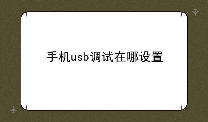 手机usb调试在哪设置