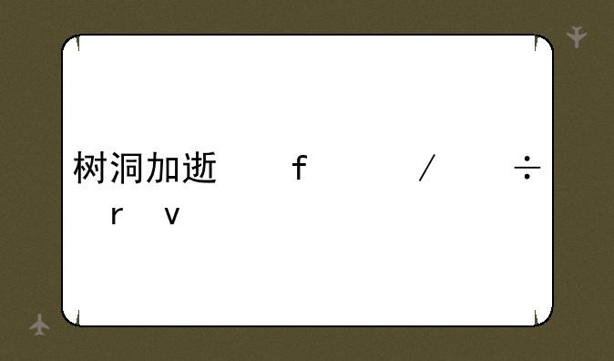 树洞加速器下载地址