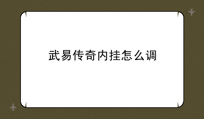 武易传奇内挂怎么调