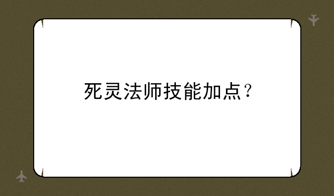 死灵法师技能加点？
