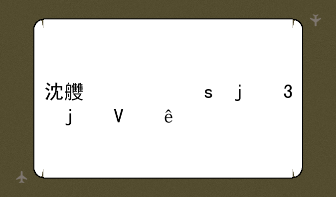 沈良一夜暴富的故事