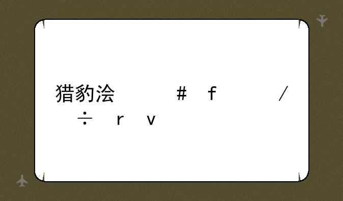 猎豹浏览器下载地址