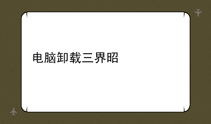 电脑卸载三界是什么