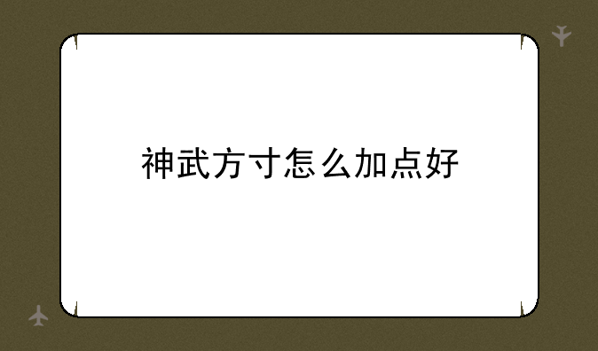 神武方寸怎么加点好