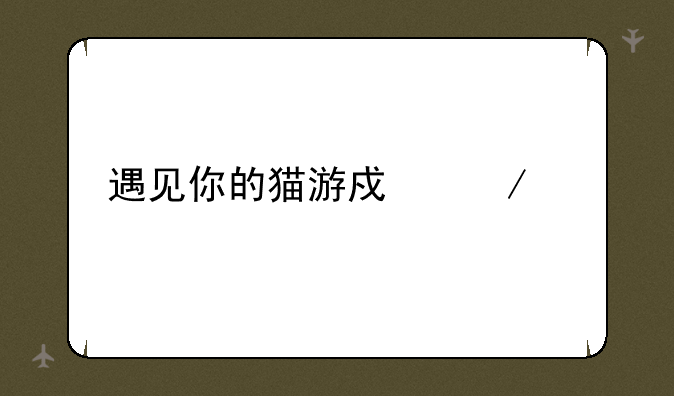 遇见你的猫游戏下载