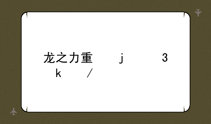 龙之力量的职业介绍