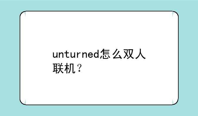 unturned怎么双人联机？
