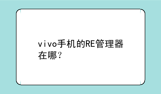 vivo手机的RE管理器在哪？