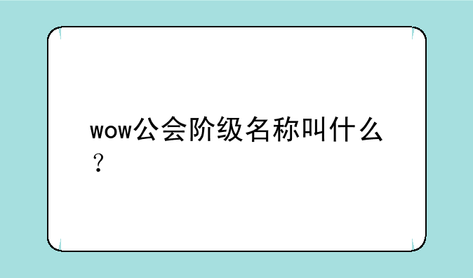 wow公会阶级名称叫什么？