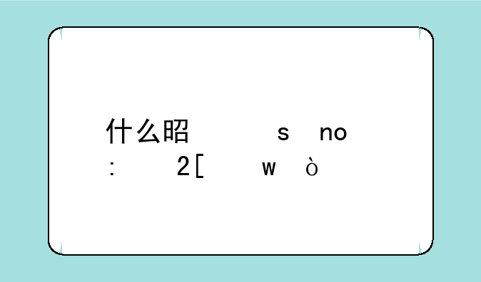 什么是“四个现代化”？