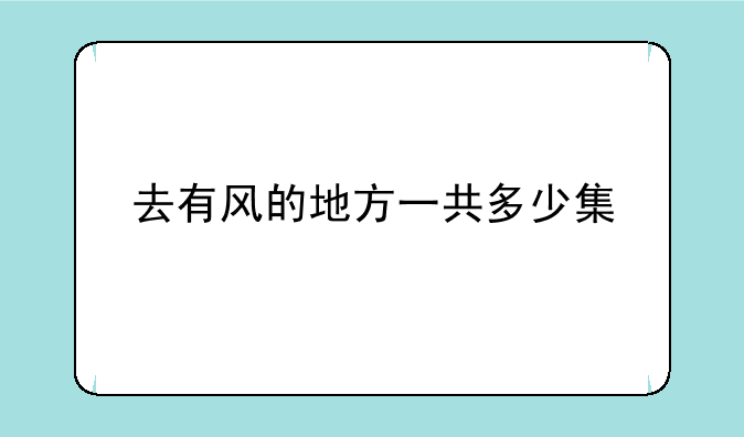 去有风的地方一共多少集