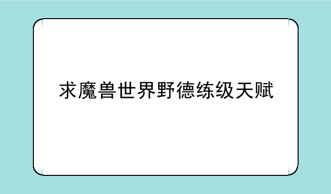 求魔兽世界野德练级天赋