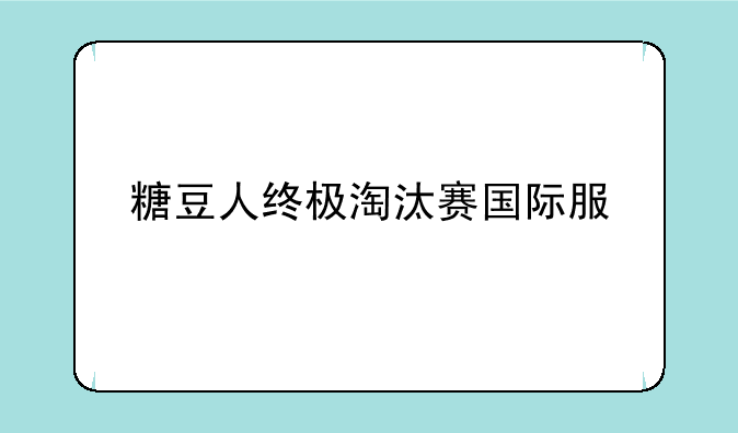 糖豆人终极淘汰赛国际服