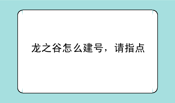 龙之谷怎么建号，请指点