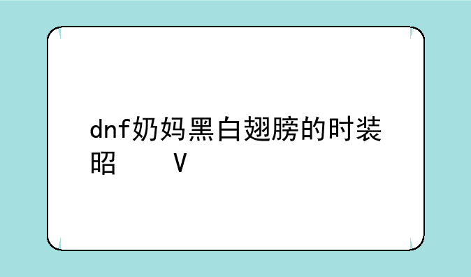 dnf奶妈黑白翅膀的时装是啥