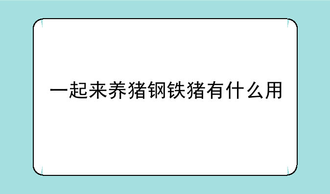 一起来养猪钢铁猪有什么用