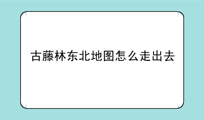 古藤林东北地图怎么走出去