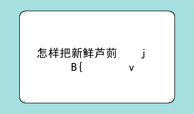 怎样把新鲜芦荟的汁搞出来