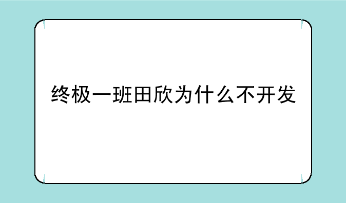 终极一班田欣为什么不开发