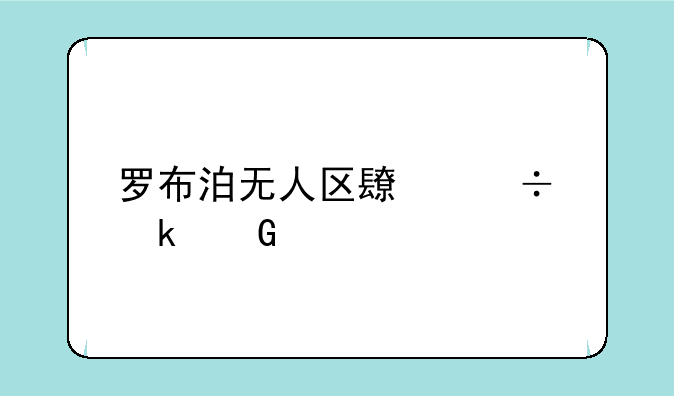 罗布泊无人区长宽多少公里