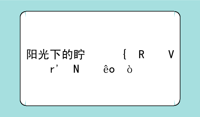 阳光下的真实攻略有哪些？