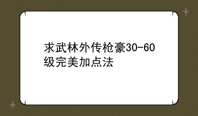 求武林外传枪豪30-60级完美加点法