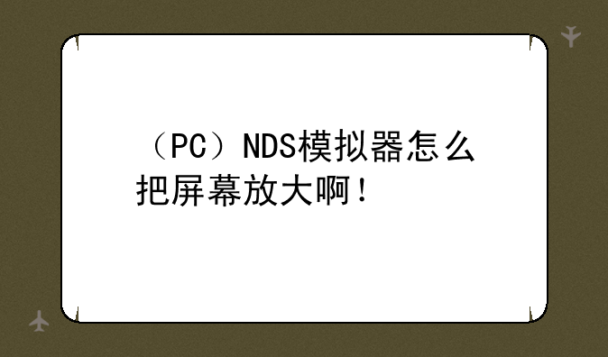 （PC）NDS模拟器怎么把屏幕放大啊！