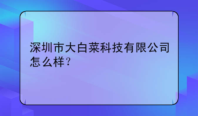 深圳市大白菜科技有限公司怎么样？
