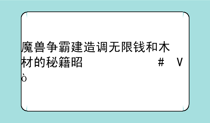 魔兽争霸建造调无限钱和木材的秘籍是什么啊？
