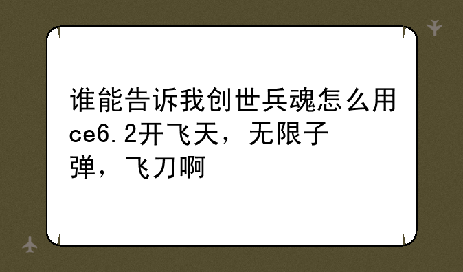 谁能告诉我创世兵魂怎么用ce6.2开飞天，无限子弹，飞刀啊