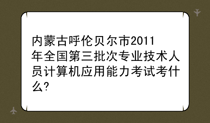 内蒙古呼伦贝尔市2011年全国第三批次专业技术人员计算机应用能力考试考什么?