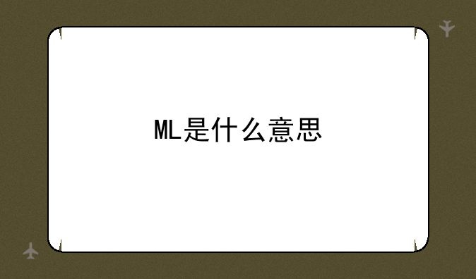 ML是什么意思