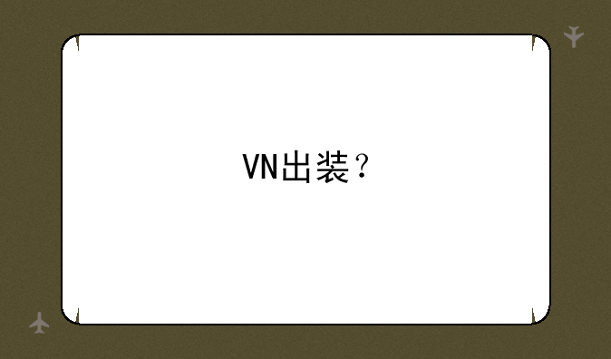 VN出装？