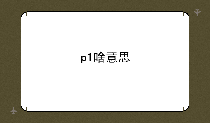 p1啥意思