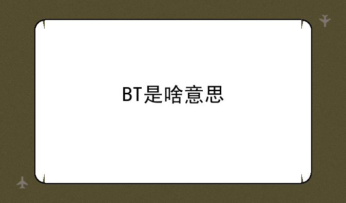 BT是啥意思