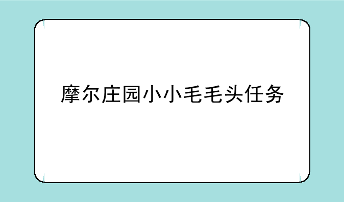 摩尔庄园小小毛毛头任务