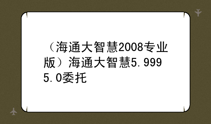 （海通大智慧2008专业版）海通大智慧5.999+5.0委托