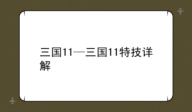 三国11—三国11特技详解