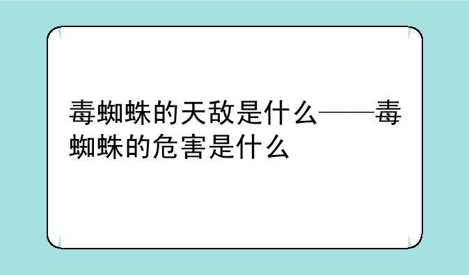 毒蜘蛛的天敌是什么——毒蜘蛛的危害是什么