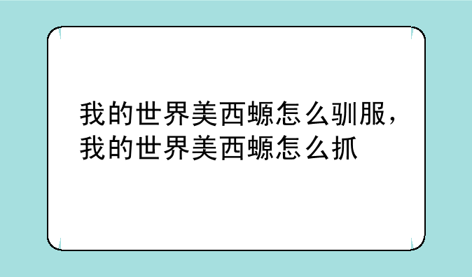 我的世界美西螈怎么驯服，我的世界美西螈怎么抓