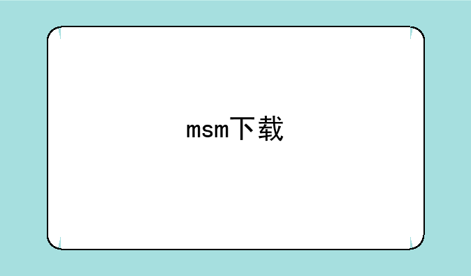 msm下载